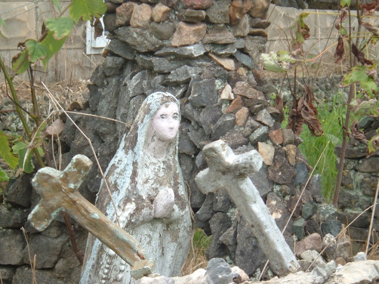 239459992_f830894ef6_b