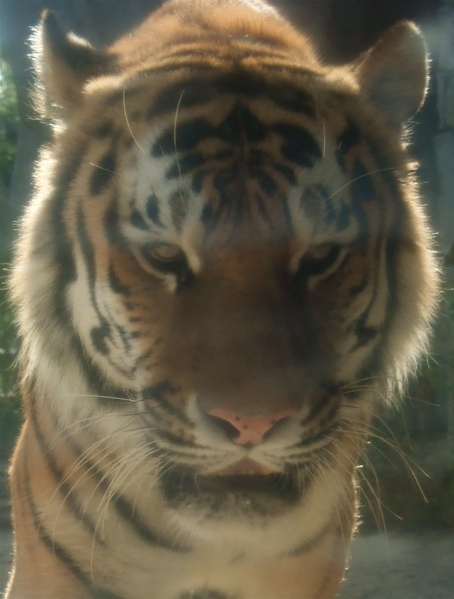 5000061550_e3f894fd06_o