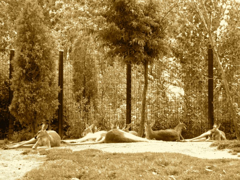 868752354_d0dd3fe494_o