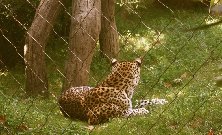 868752374_66f7322c5e_o