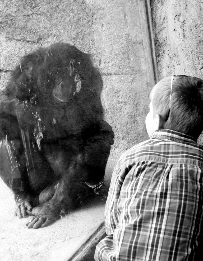 868752554_90c714b25a_o